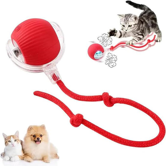 Interactive Cat Toys Ball, Newly Upgraded Automatic with Elastic Tail Rope and USB Charging. Stimulates Hunting Instincts and Promotes Exercise. Interactive Cat Toys for Bored Indoor Adult Cats