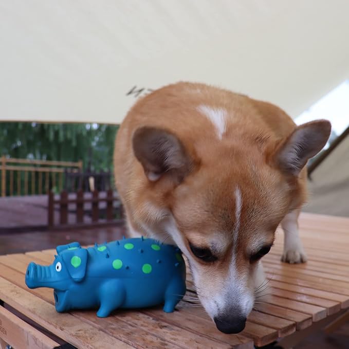 Pig Squeaky Dog Toy, 2 PCS Interactive Rubber Dog Chew Toy - Durable Latex Spot Grunting Pig Toys That Oink for Small Medium Large Dogs (Blue, Purple)