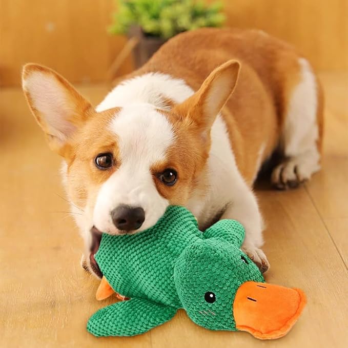Quack-Quack Duck Dog Toy,Durable Plush Chew Toy with Sounds,Stuffed Plush Calming Duck Dog Toy for Indoor Puppies and Senior Pups (Yellow+Pink+Green, Small)