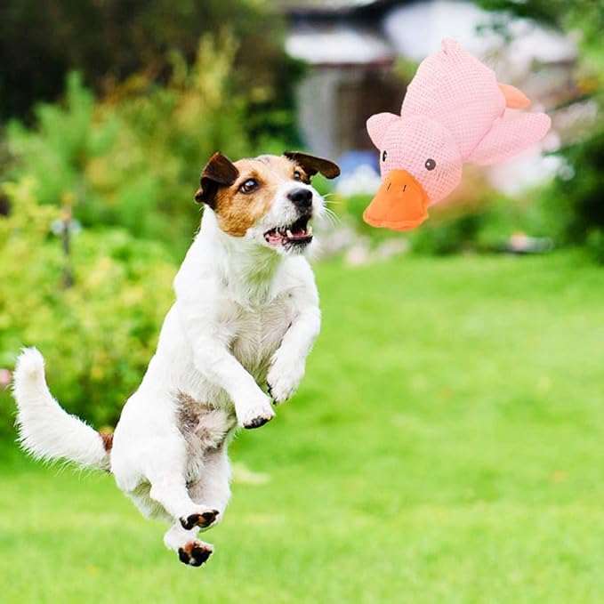 Quack-Quack Duck Dog Toy,Durable Plush Chew Toy with Sounds,Stuffed Plush Calming Duck Dog Toy for Indoor Puppies and Senior Pups (Yellow, S+M+L)