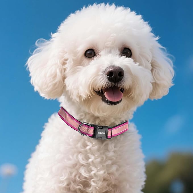 Reflective Dog Collar with Soft Padding Dog Collar for Medium & Small Dogs, No Pull, Heavy Duty, Adjustable Nylon Collar with Quick-Release Buckle, Walking Training Pink-XS