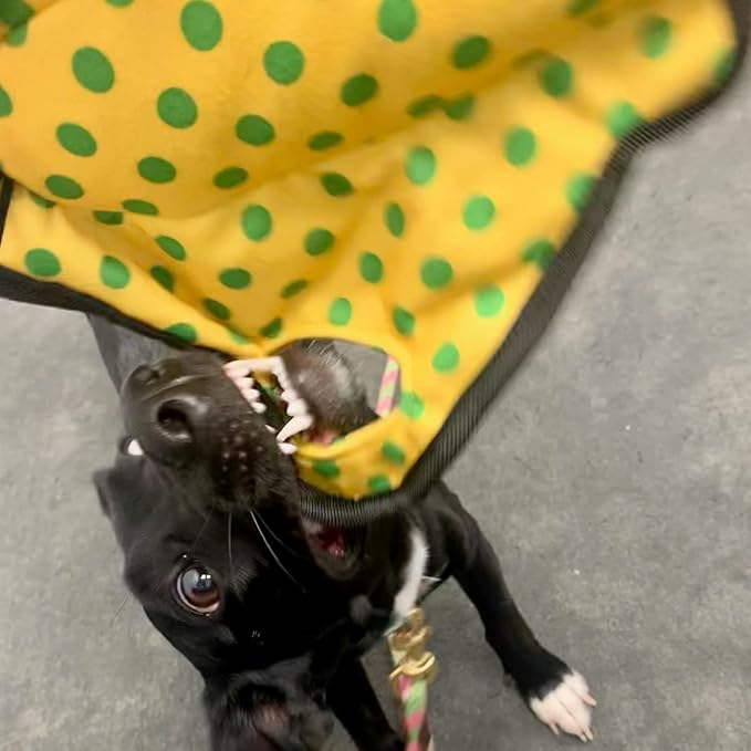 SmartPetLove Snuggle Puppy Tender-Tuffs Tug of War Dog Toy - Extra Large Yellow Stingray Big Ray with Puncture Resistant Squeaker