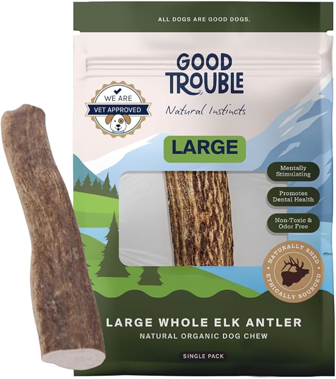 Good Trouble Premium Elk Antlers for Large Dogs – 1 Pack Whole - Shed Antler Chews for Dental Health & Calming - Durable Dog Bones for Aggressive Chewers - Cruelty-Free, North American Sourced