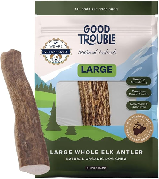 Good Trouble Premium Elk Antlers for Large Dogs – 1 Pack Whole - Shed Antler Chews for Dental Health & Calming - Durable Dog Bones for Aggressive Chewers - Cruelty-Free, North American Sourced