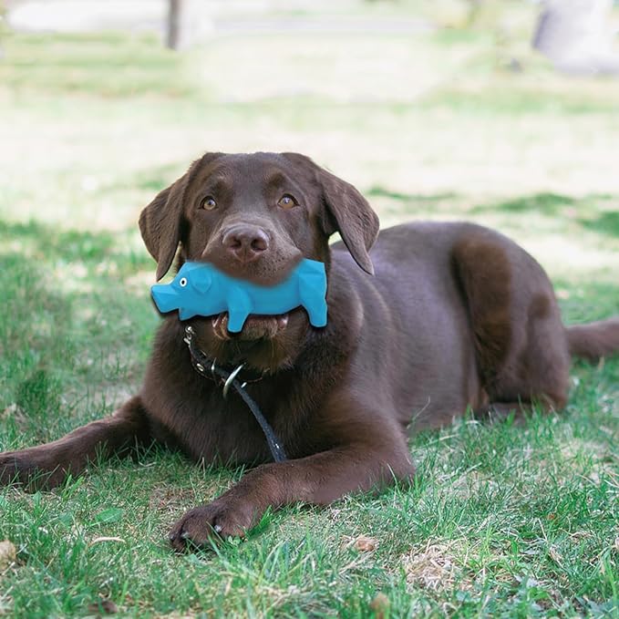 Pig Dog Toy, 3 PCS Squeaky Pig Dog Toy, Interactive Pig Dog Chew Toy That Oinks - Diamond-Shaped Rubber Dog Squeaky Toys, Durable Latex Grunting Pig Toy for Small Medium Large Dogs