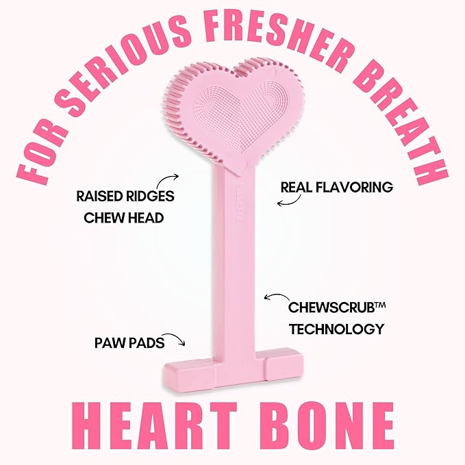 Bullibone Nylon Dog Chew Toy Nylon Bone - Improves Dental Hygiene, Easy to Grip Bottom, and Permeated with Flavor (Peppermint, Large - Single)