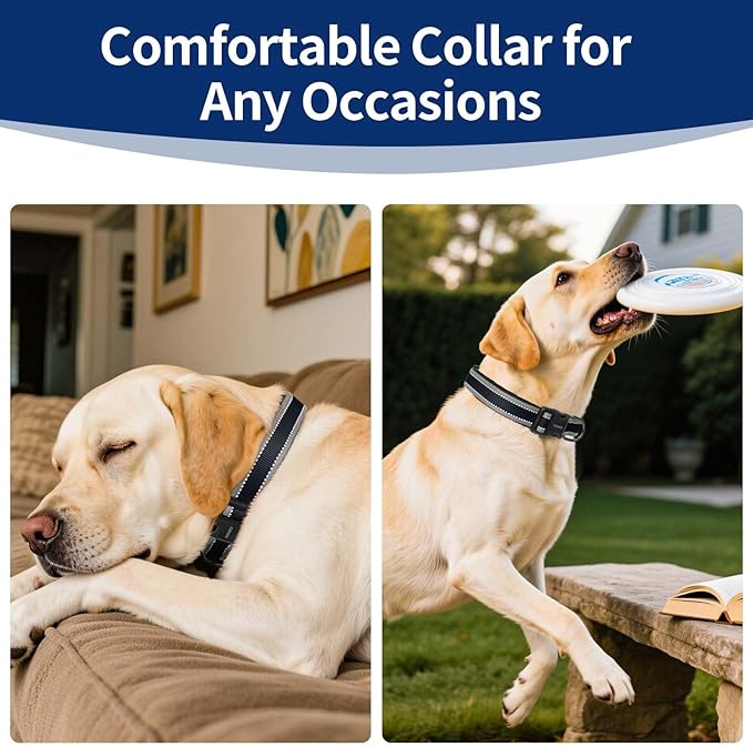 Reflective Dog Collar with Soft Padding Dog Collar for Medium & Large Dogs, No Pull, Heavy Duty, Adjustable Nylon Collar with Quick-Release Buckle, Walking Training-Black-XL