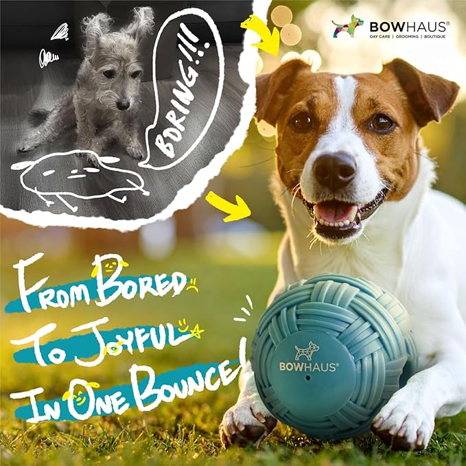 CAPHAUS Knitted Texture Wobble Giggle Ball, 5.5 Inch Durable Dog Exercise Toys, Non-Toxic Indestructible PVC Giggle Ball, Interactive Fun Squeaky Chew Toy for Indoor Outdoor Play