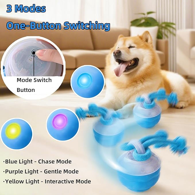 Interactive Dog Toys to Keep Them Busy with Motion Activated Squeaky Pet Toy Rolling Wicked Ball Automatic Moving Dog Ball for Puppy Small Medium Dogs for Boredom