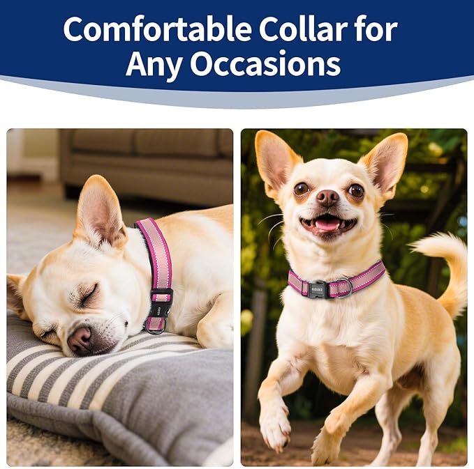 Reflective Dog Collar with Soft Padding Dog Collar for Medium & Small Dogs, No Pull, Heavy Duty, Adjustable Nylon Collar with Quick-Release Buckle, Walking Training Pink-XS
