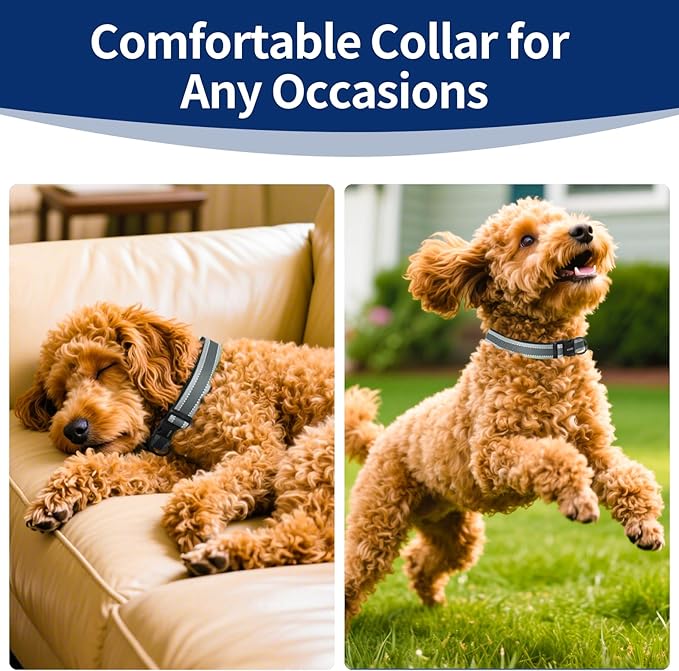 Reflective Dog Collar with Soft Padding Dog Collar for Medium & Small Dogs, No Pull, Heavy Duty, Adjustable Nylon Collar with Quick-Release Buckle, Walking Training-Grey-S