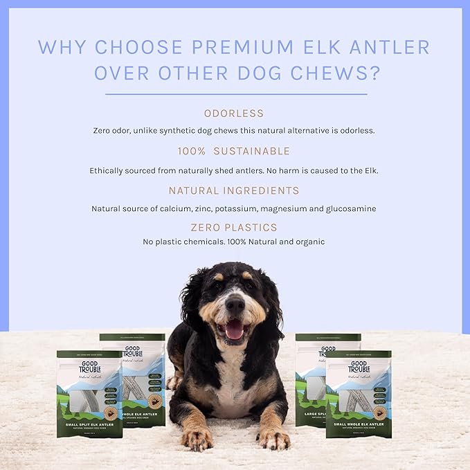 Good Trouble Premium Elk Antlers for Large Dogs – 1 Pack Whole - Shed Antler Chews for Dental Health & Calming - Durable Dog Bones for Aggressive Chewers - Cruelty-Free, North American Sourced