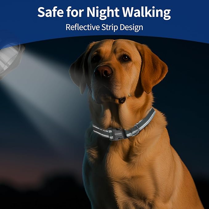 Reflective Dog Collar with Soft Padding Dog Collar for Medium & Small Dogs, No Pull, Heavy Duty, Adjustable Nylon Collar with Quick-Release Buckle, Walking Training-Grey-S