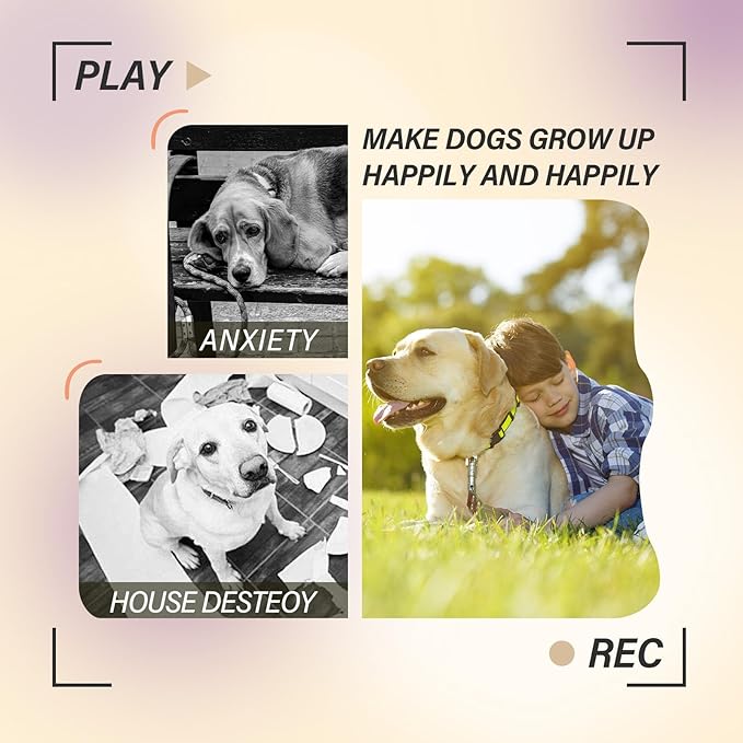 ptlsy Automatic Dog Ball Launcher - Interactive Puppy Pet Indoor Thrower for Small & Medium Dogs, 3 Balls Included (2 inch, Purple)