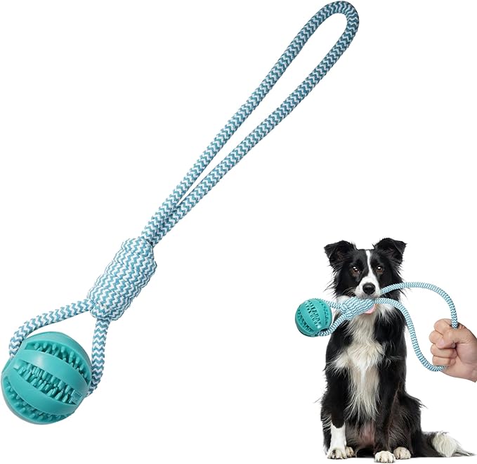 Dog Rope Toy for Medium and Small Dogs, Interactive Puppy Toys Tug of War Toy with Rubber Ball, Durable Outdoor Puppy Chew Toys for Teeth Cleaning, Fetch & Training(Blue)