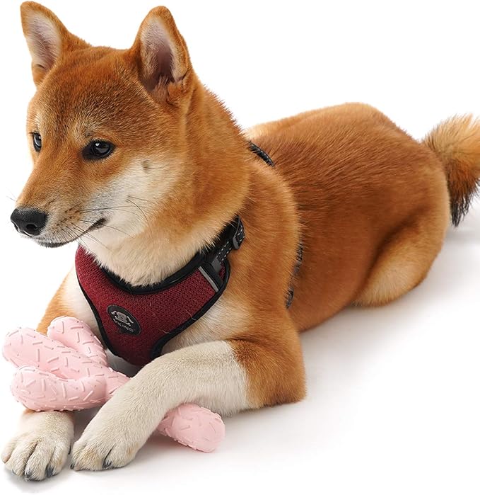 MewaJump Dog Chew Toys, Tough Rubber Dog Toys for Aggressive Chewers, Cactus Dog Toy for Training and Cleaning Teeth, Pink Cute Dog Toys for Medium/Large Dog