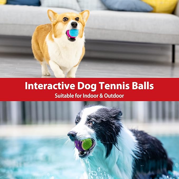 GiGwi Tennis Balls for Dogs, Squeaky Dog Tennis Balls for Exercise, High Bouncy Dog Balls Bright Colors 2.5 Inches, Interactive Funny Dog Toys for All Breeds of Dogs Indoor & Outdoor Dog Games, 3 Pack