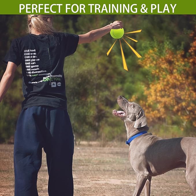 Magicorange Squeaky Tennis Ball Dog Toys 4 inch Oversize Giant Tennis Ball for Fetch Exercise, Natural Rubber Squeaky Dog Balls Training Safe (Multicolor, 6 Pack)