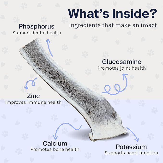 Good Trouble Premium Elk Antlers for Large Dogs – 1 Pack Split - All-Natural, Shed Antler Chews for Dental Health & Calming - Durable Dog Bones - Cruelty-Free, North American Sourced