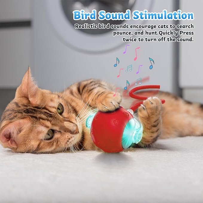 Interactive Cat Toys for Indoor Cats, 2025 New Upgraded Moving Kitten Ball with Chirping Sound, Rechargeable Fast Rolling Ball, Fun Automatic Cat Toys for Bored Adult Kitten Exercise, Red