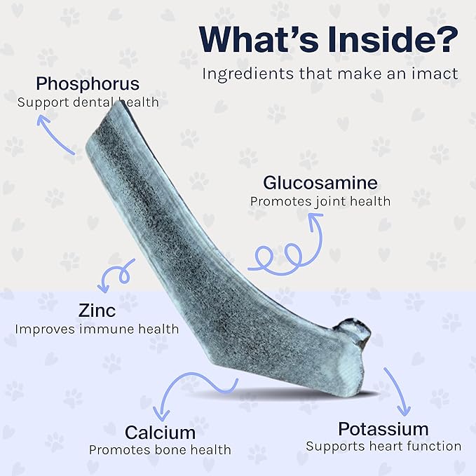 Good Trouble Premium Elk Antlers for Small Dogs – 1 Pack Split - All-Natural, Shed Antler Chews for Dental Health & Calming - Durable Dog Bones - Cruelty-Free, North American Sourced