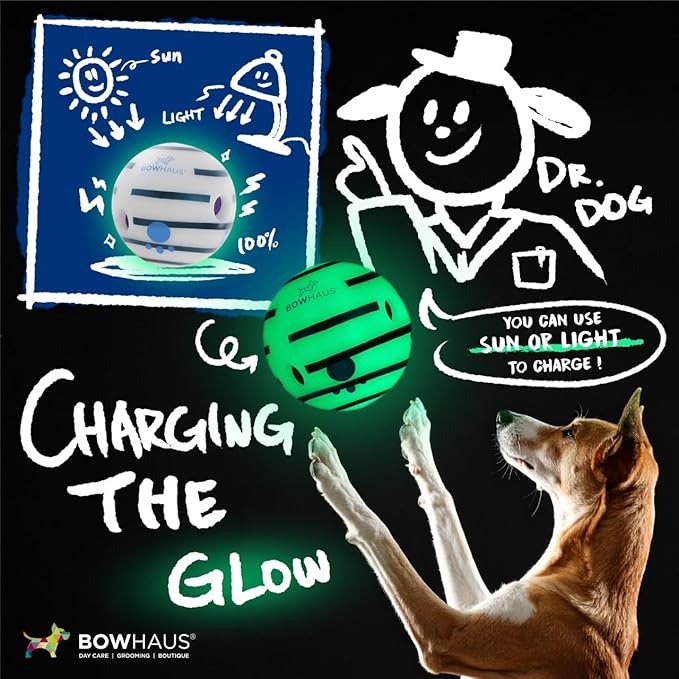 CAPHAUS Wobble Giggle Ball for Dogs, 5.5 Inch Durable Glow in The Dark Dog Exercise Toys, Non-Toxic Indestructible PVC Giggle Ball, Interactive Fun Squeaky Chew Toy for Indoor Outdoor Play