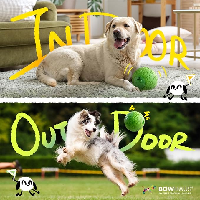 CAPHAUS Wobble Giggle Ball for Dogs, 5.5 Inch Treat Dispensing Dog Exercise Toys, Non-Toxic Indestructible PVC Giggle Ball, Interactive Fun Squeaky Chew Toy for Indoor Outdoor Play