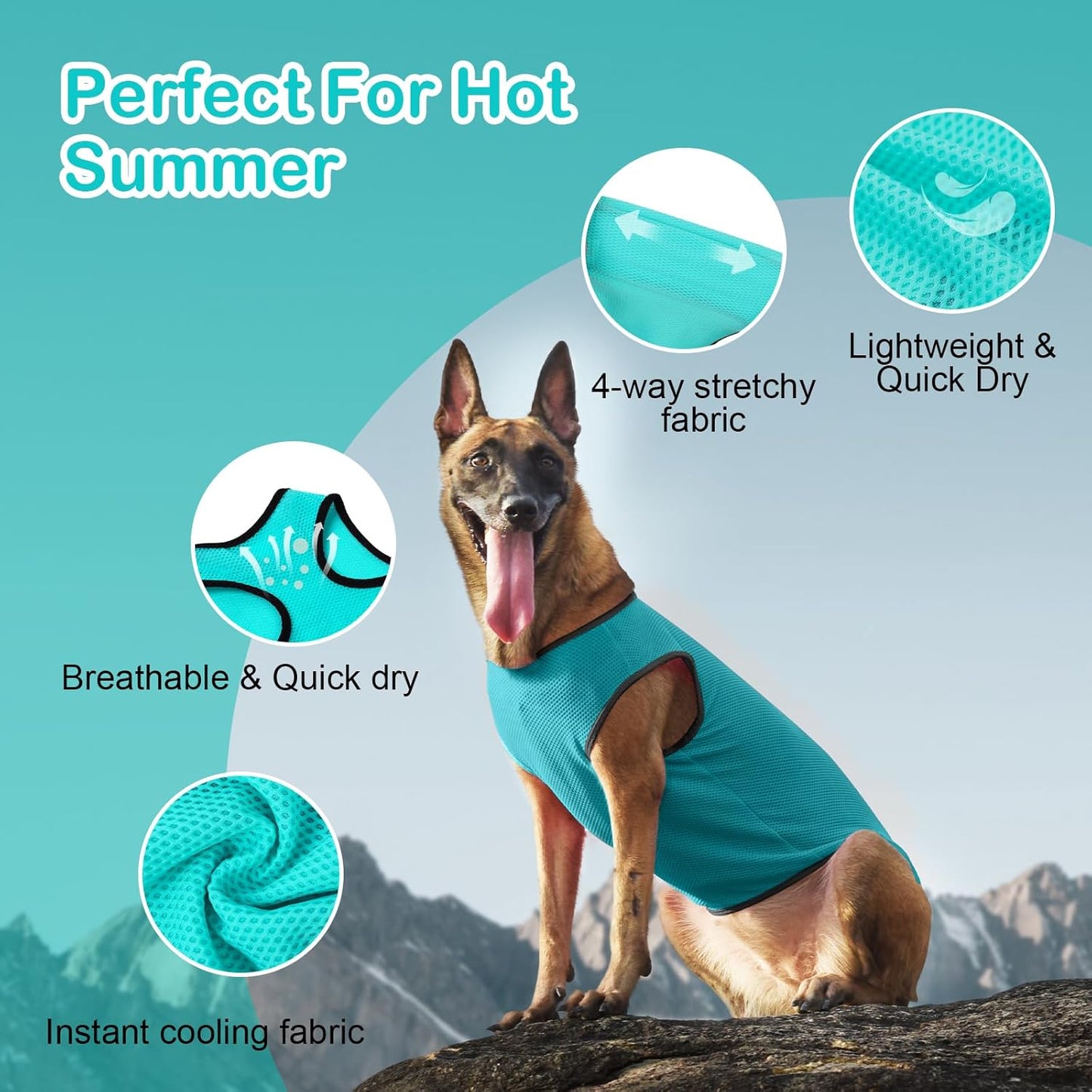 2 Pack Cooling Shirts for Dogs, Lightweight Mesh Breathable Dog Clothes for Medium Dogs Boy Girl,Sports Fan Pet T-Shirts for Dog&Cat Puppy Vest Pet Apparel - XL