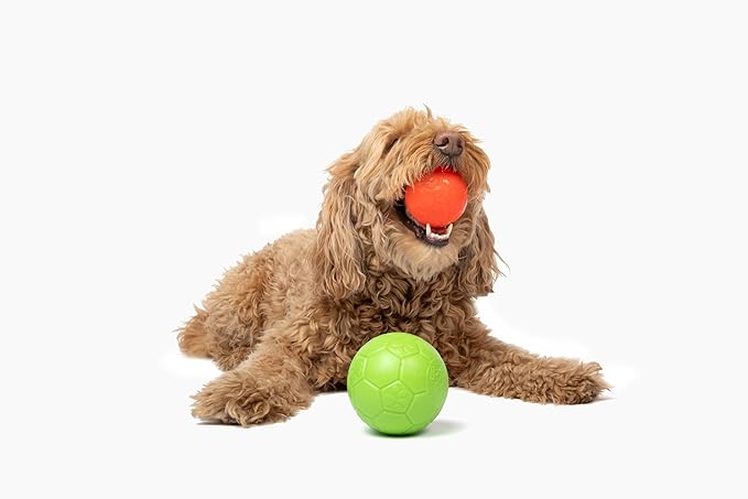 Jolly Pets Mini Jolly Soccer Ball; Floating-Bouncing Dog Toy; 3" Orange