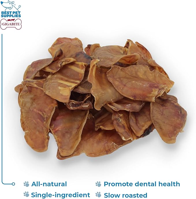 Best Pet Supplies GigaBite Roasted Pig Ears for Dogs - Natural Dog Chews, Roasted Pigs Ears, Safe for Puppies and Aggressive Chewers, Cleans Teeth and Gums - Pack of 25