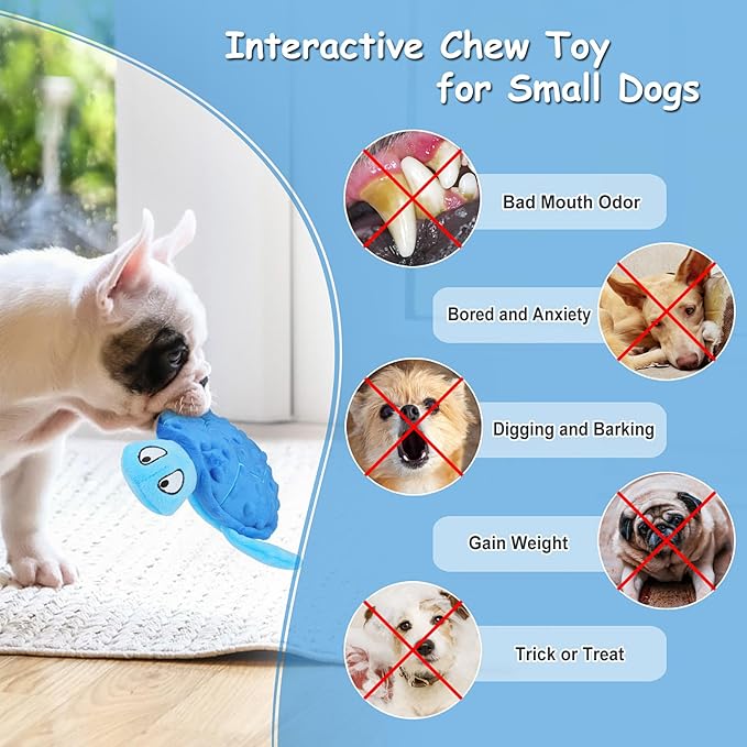 Squeaky Sea Turtle Plush Dog Toy - Durable, No Stuffing, Interactive Chew Toy for Small Dogs - Relieve Anxiety, Teething, and Keep Them Busy for Puppy(Blue)