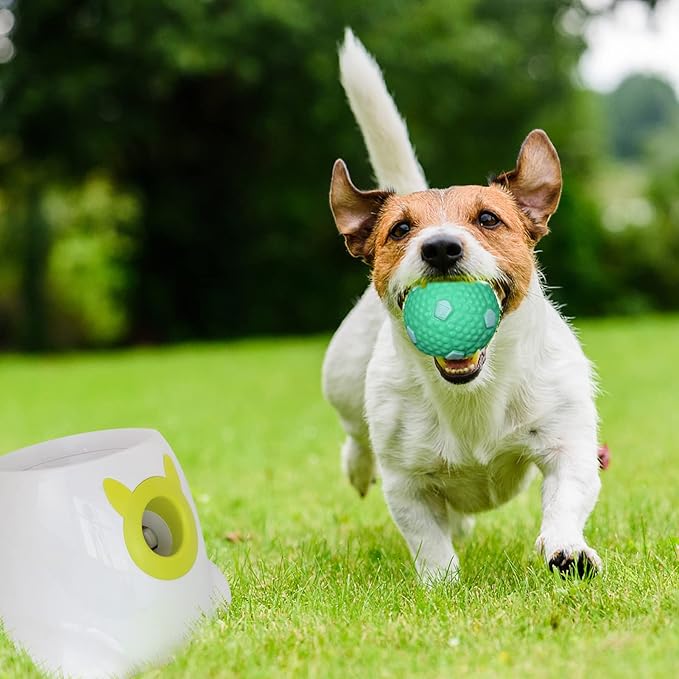 BESTHLS Dog Tennis Ball 2 inch Pet Toy Rubber Balls for Pet Puppy Tiny Small Dogs Fetching Exercise & Training (16 Pack)