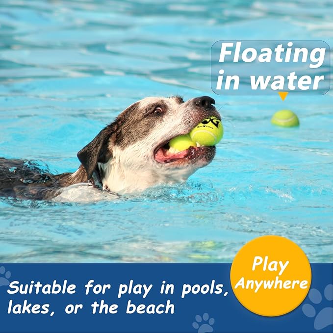 Squeaky Tennis Balls for Dogs - 12 Pack 2.0'' Durable Non-Toxic Outdoor Dog Toys Balls with Mesh Bag, SGS Certified, Colorful Fetch Toys,Small Breeds