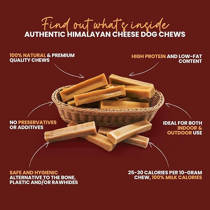 Authentic Himalayan Yak Cheese for Dogs - Small (Pack of 10) - Sourced from Pristine Himalayan Foothill, Rawhide-Free, NO preservatives
