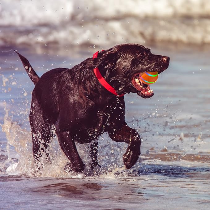Interactive Dog Toys Dog Ball - 2025 Newly Upgraded Durable Motion Activated Automatic Moving, Bouncing, and Rotating Ball for Medium/Large Dogs, USB Rechargeable, Orange