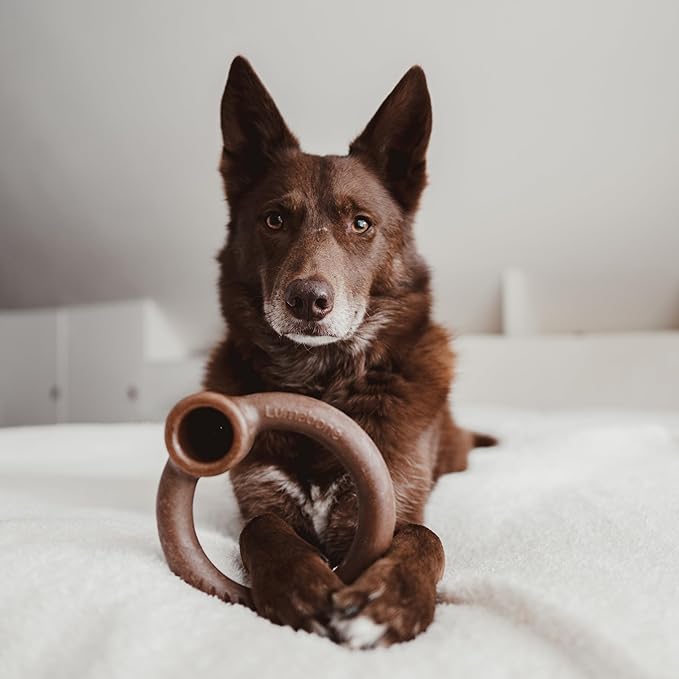 Real Bacon 3-Pack Dog Toys for Aggressive Chewers,Wishbone, Dental Chew, Ring Bacon Medium