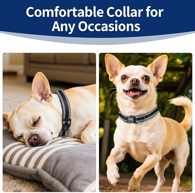Reflective Dog Collar with Soft Padding Dog Collar for Medium & Small Dogs, No Pull, Heavy Duty, Adjustable Nylon Collar with Quick-Release Buckle, Walking Training-Black-XS