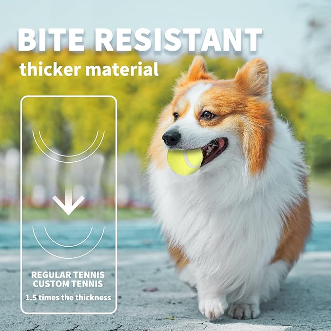 ALL FOR PAWS Interactive Dogs Ball Toy, 2.5" Dog Safety Fetch Balls Toy with High Bounce, Exercise and Play Dogs Tennis Balls Suitable for Ball Launchers