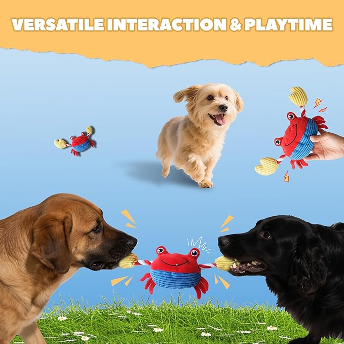 Squeak Plush Dog Toys for Small & Medium Breeds, Chew Resistant Rope to Keep Them Busy for Puppy Teething Chewing, Interactive Indoor/Outdoor Play, Best Pet Gift, Crab