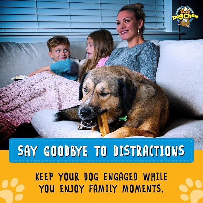 Tibetan Dog Chew Yak Cheese Sticks (1 Large Chew) - Natural, Handmade Large Dog Treats, Long-Lasting, Easy Digest, Ideal for Aggressive Chewers, Supports Oral Health, Grain and Gluten Free