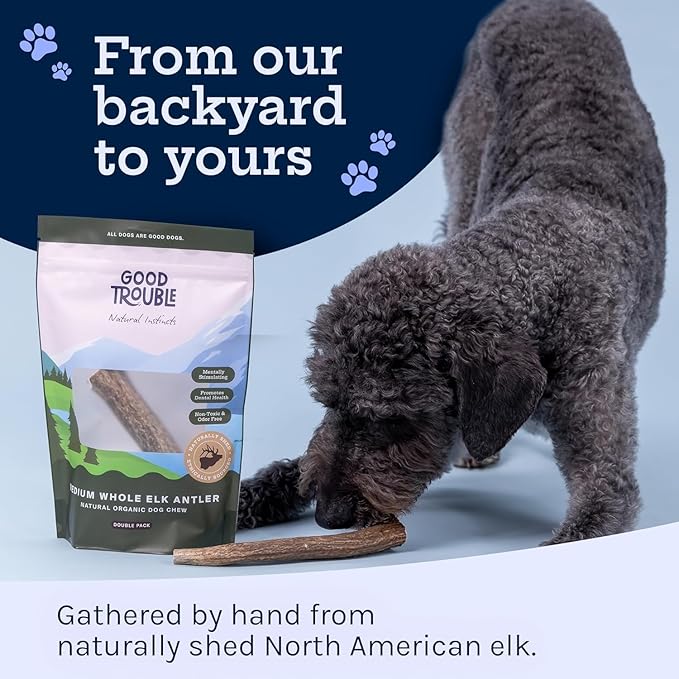 Good Trouble Premium Elk Antlers for Medium Dogs – 1 Pack Whole - Shed Antler Chews for Dental Health & Calming- Durable Dog Bones for Aggressive Chewers - Cruelty-Free, North American Sourced