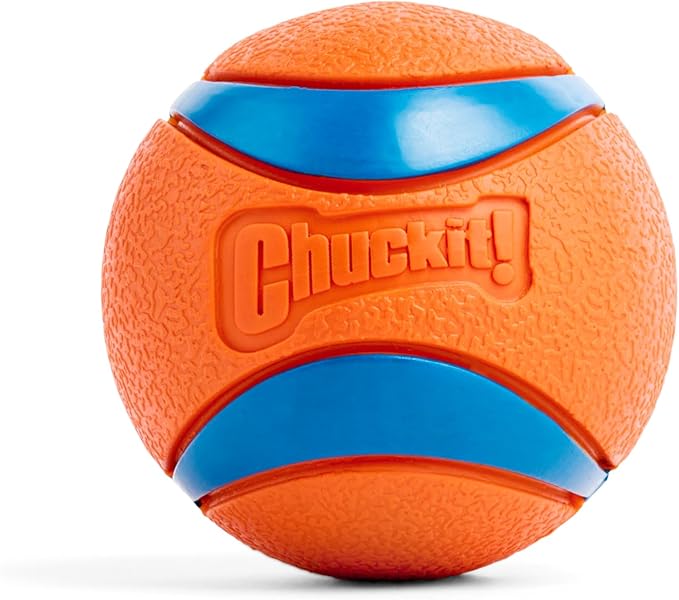 Chuckit! Ultra Ball Dog Toy with Chuckit! Cleaning Bucket Bundle, Bouncy Fetch Pet Toys For Dogs 20-60 lbs, Interactive Dog Toys, Durable Rubber, Size Medium, 2.5-inch Diameter, 8-Pack of Balls