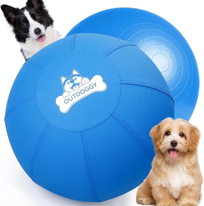 Herding Ball for Dogs 18 Inch - Dual-Layer Heavy Duty Herding Ball for Australian Shepherds, Border Collies & Corgis | Outdoor Herding Toy for Small/Medium Dogs - Backyard Chasing and Training - Blue