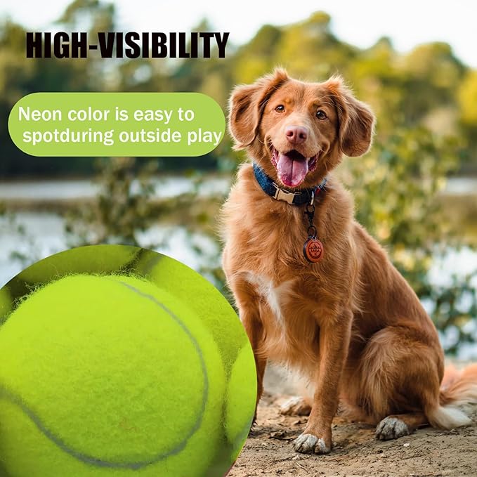 Magicorange Squeaky Tennis Ball Dog Toys 4 inch Oversize Giant Tennis Ball for Fetch Exercise, Natural Rubber Squeaky Dog Balls Training Safe (Multicolor, 6 Pack)