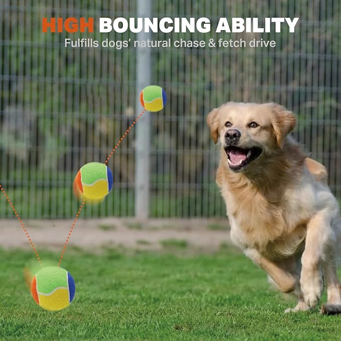 AMA SPORT Squeaky Balls for Dogs 2.5" Small Medium Dog Tennis Balls for Throwing and Fetching Dog Toys for Training, Exercise, High Bouncing 6 Pack Multicolor
