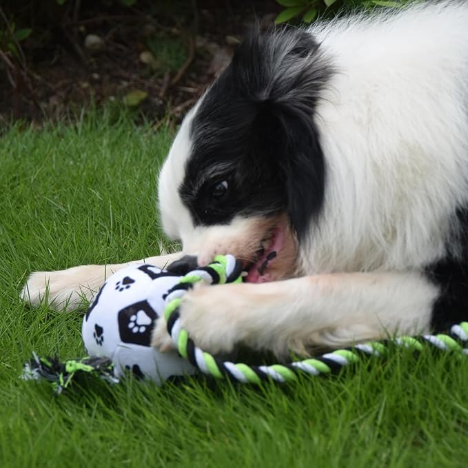 QDAN Dog Soccer Ball for Dogs, Durable Outdoor Dog Toys, Plush Dog Balls, Rope Birthday Toys for Small to Large (Black)