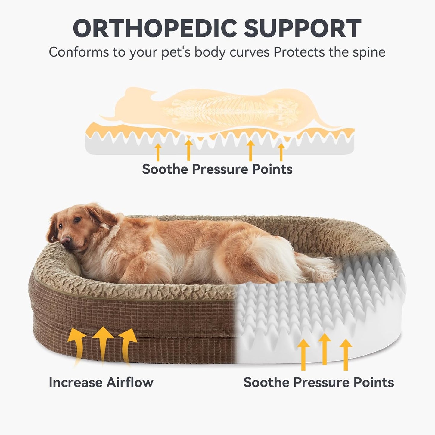 JOEJOY Orthopedic Dog Bed for Medium Dogs, Egg-Crate Memory Foam Pet Bed with Bolster Sides, Waterproof Lining, Removable Washable Cover & Non-Slip Bottom, Brown