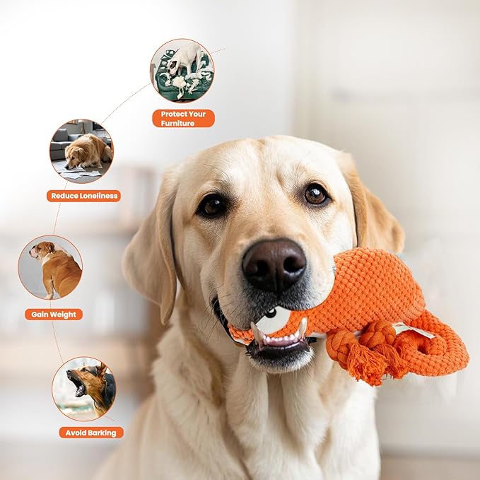 Bzonsmart Squeaky Dog Toys: Plush Soft Toys with Soft Fabric.Dog Chew Toys for Puppy, Small, Medium, Large Dogs