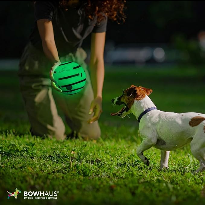 CAPHAUS Wobble Giggle Ball for Dogs, 5.5 Inch Durable Glow in The Dark Dog Exercise Toys, Non-Toxic Indestructible PVC Giggle Ball, Interactive Fun Squeaky Chew Toy for Indoor Outdoor Play