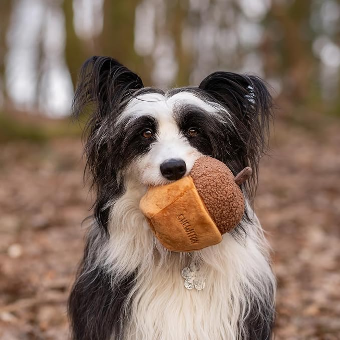 Interactive Plush Dog Toy, Enrichment Crinkle Treat Puzzle Toys for Boredom and Stimulating, Acorn Shaped Snuffle Dog Toys, Hide and Seek Toy for Small, Medium and Large Dogs
